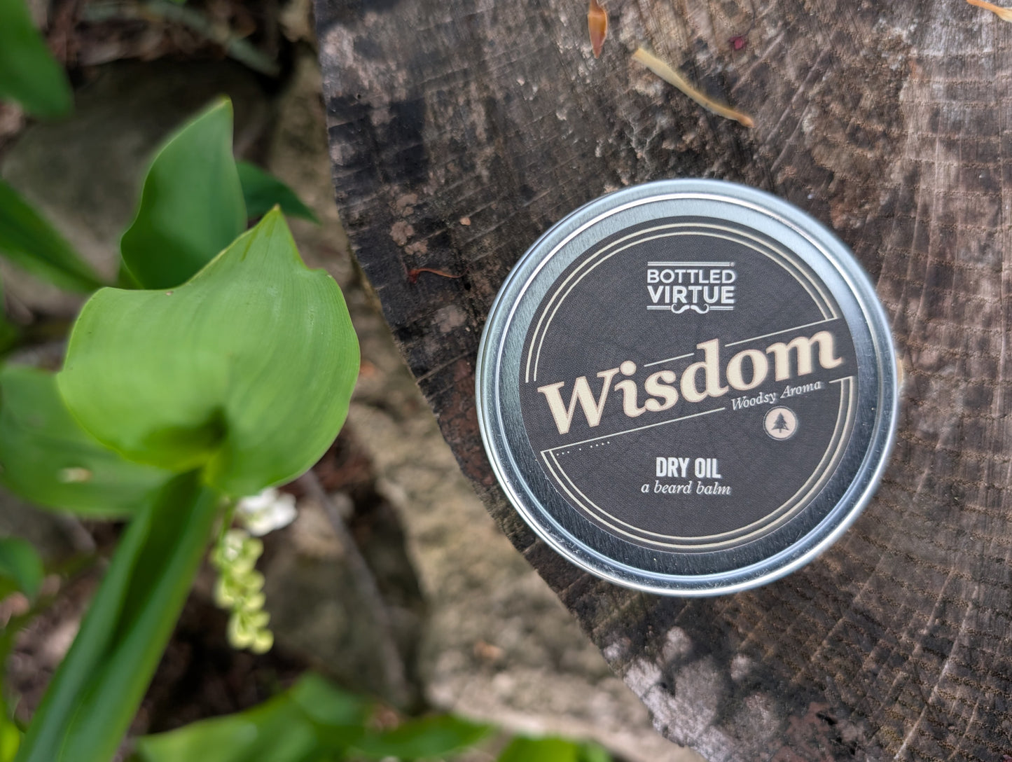 Wisdom - Bright and Woodsy Dry Oil (Beard Balm)